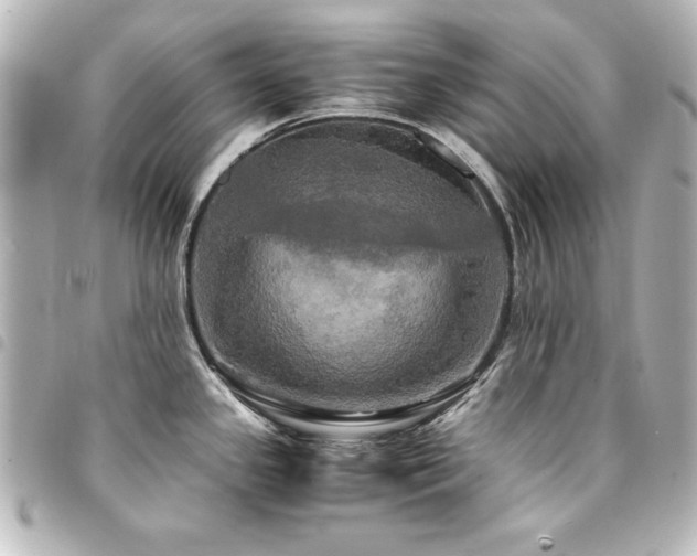 X0000094371341200711021522