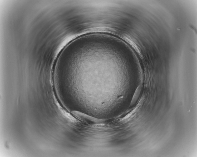 X0000094371342200711021522