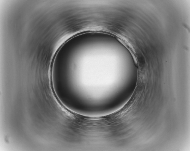 X0000094371343200711021522