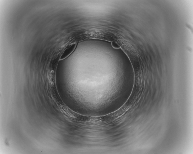 X0000094371346200711021521