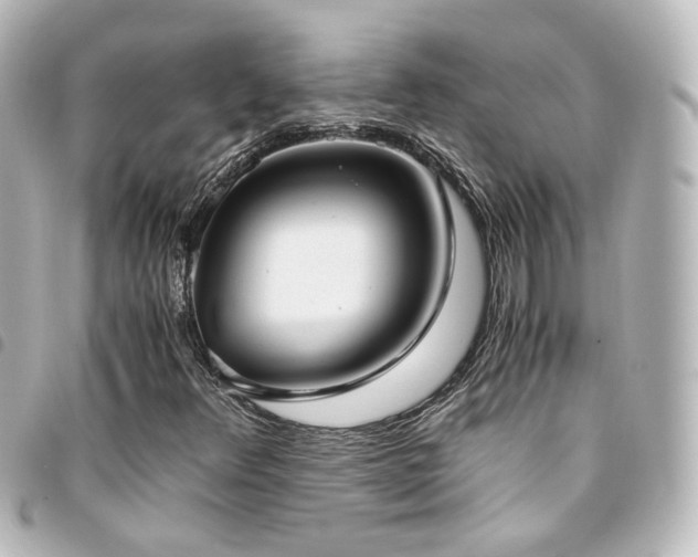 X0000094371348200711021521
