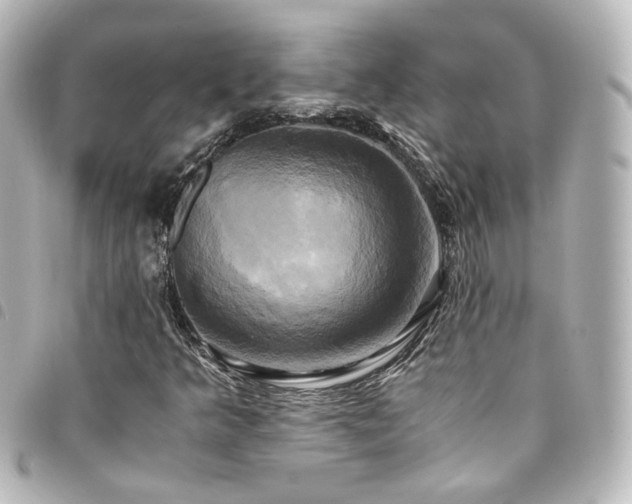 X0000094371349200711021521