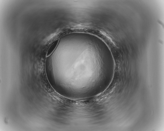 X0000094371350200711021521