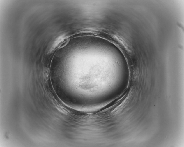 X0000094371355200711021521