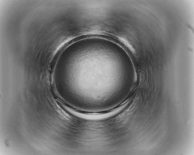 X0000094371356200711021521