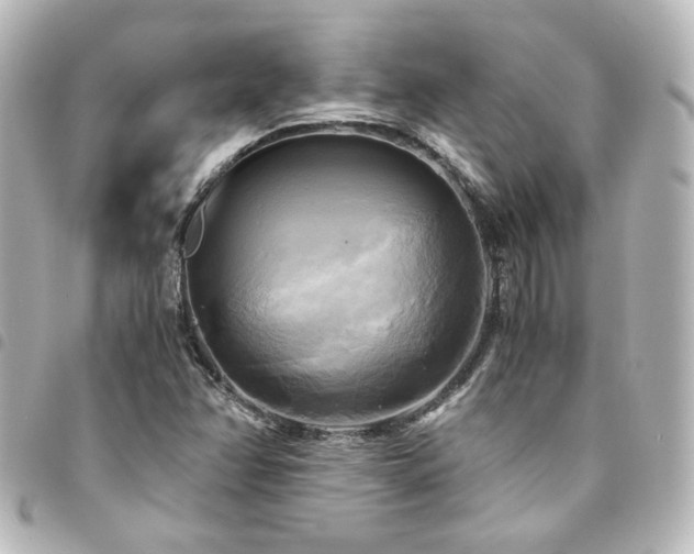 X0000094371358200711021521