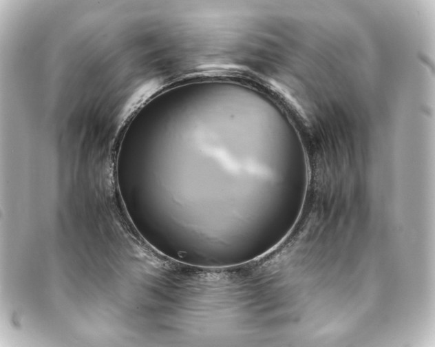 X0000094371362200711021521