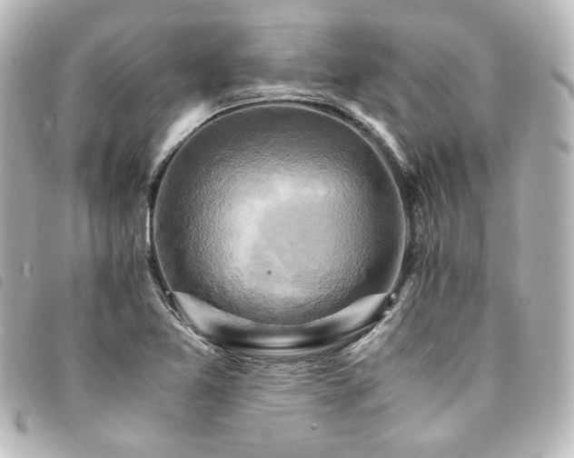 X0000094371365200711021521