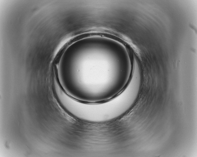 X0000094371368200711021521