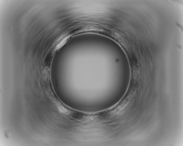 X0000094371369200711021521