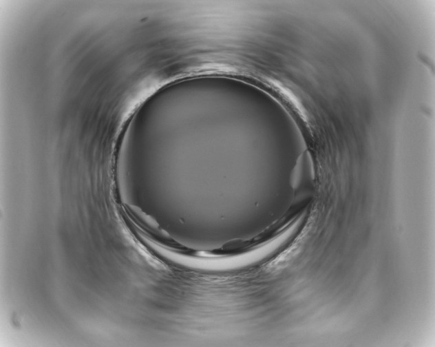 X0000094371373200711021521