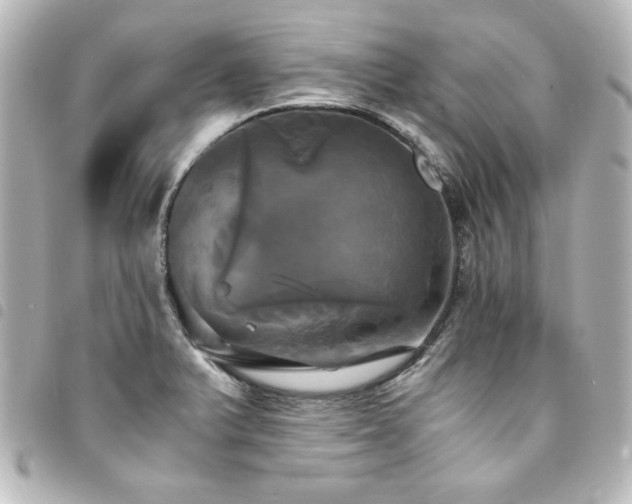 X0000094371375200711021521