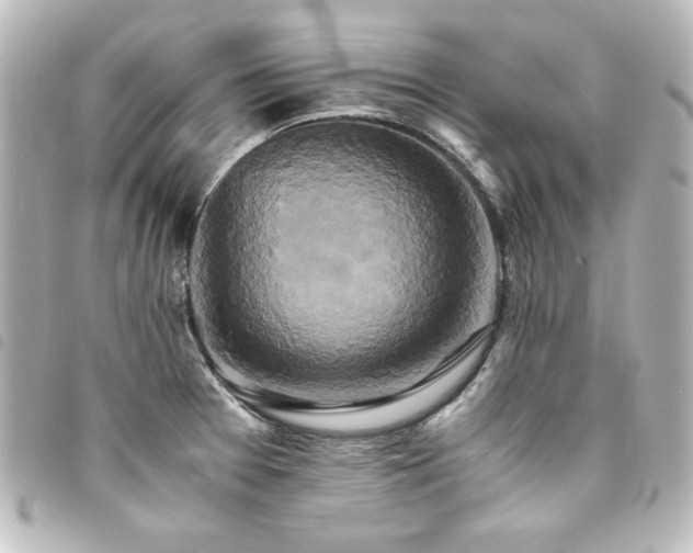 X0000094371377200711021521