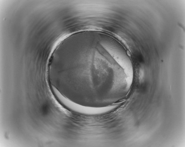 X0000094371379200711021521
