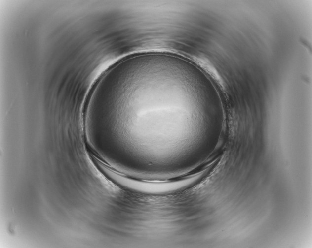 X0000094371380200711021521