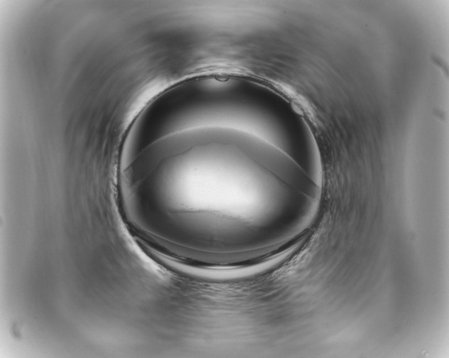 X0000094371383200711021521