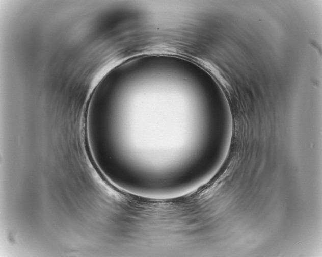 X0000094371387200711021521