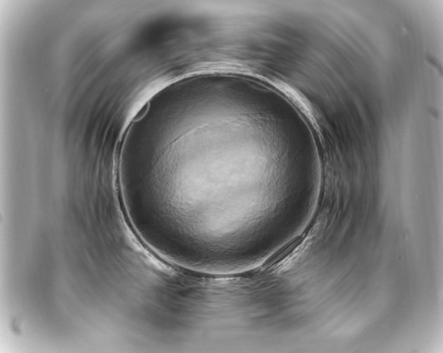 X0000094371390200711021521