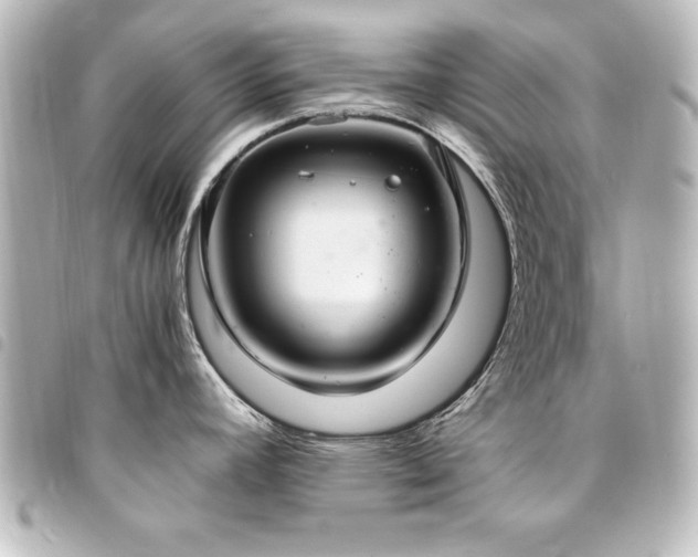 X0000094371392200711021521