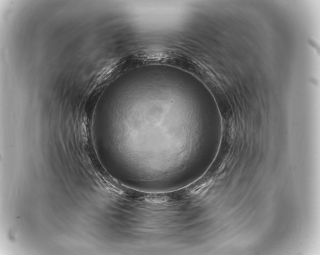 X0000094371394200711021520