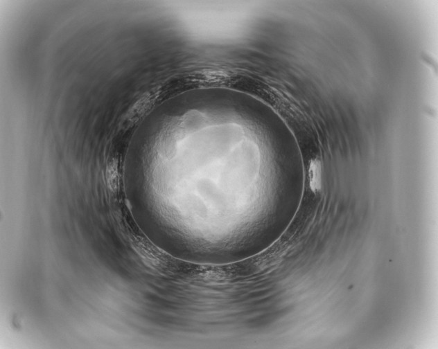 X0000094371395200711021520