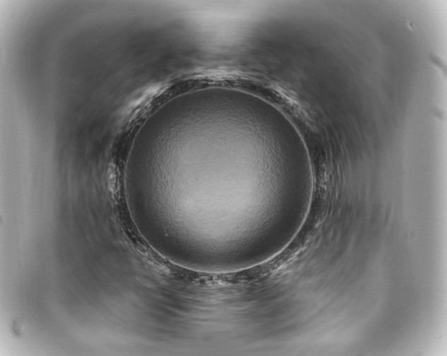 X0000094371398200711021520