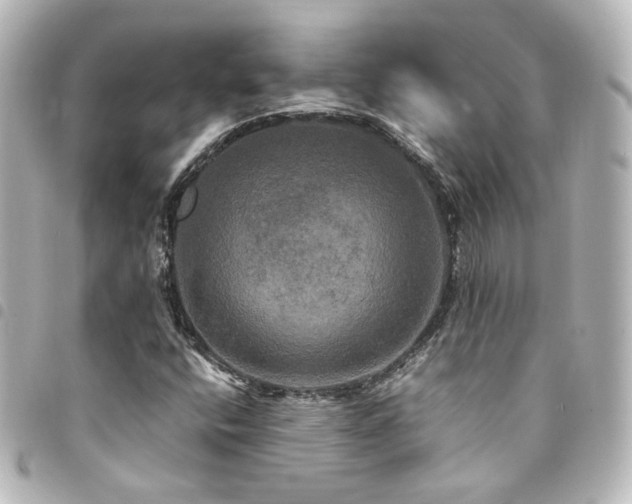 X0000094371400200711021520