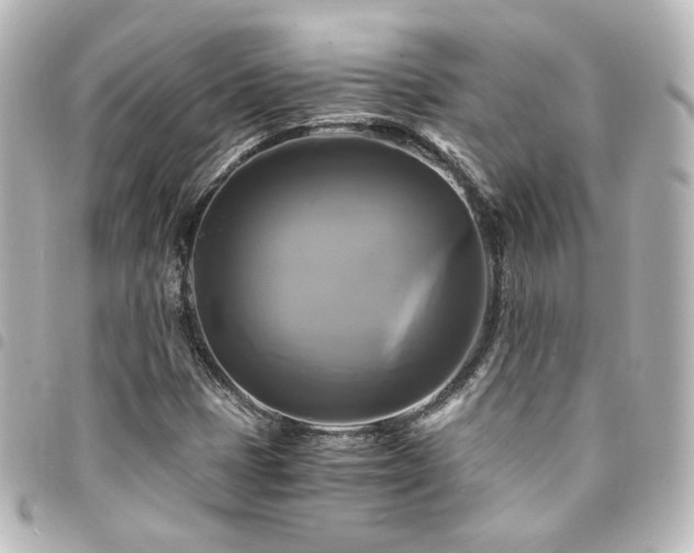 X0000094371401200711021520