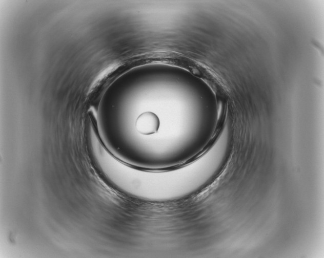 X0000094371402200711021520