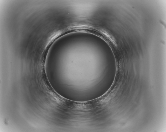 X0000094371405200711021520