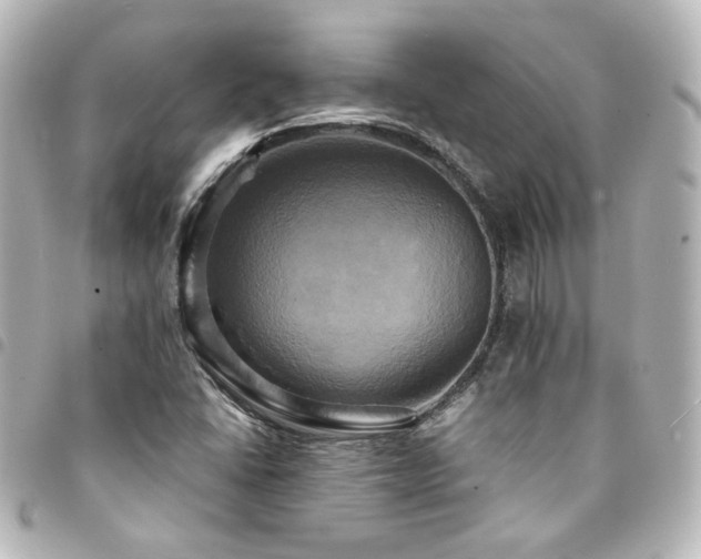 X0000094371406200711021520
