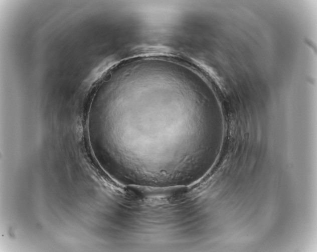 X0000094371407200711021520