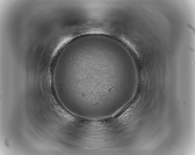X0000094371408200711021520