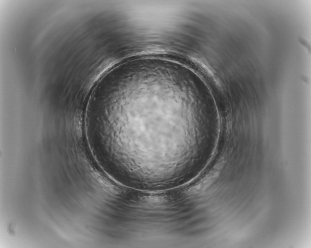 X0000094371409200711021520