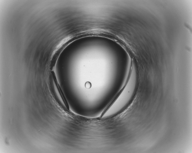 X0000094371410200711021520