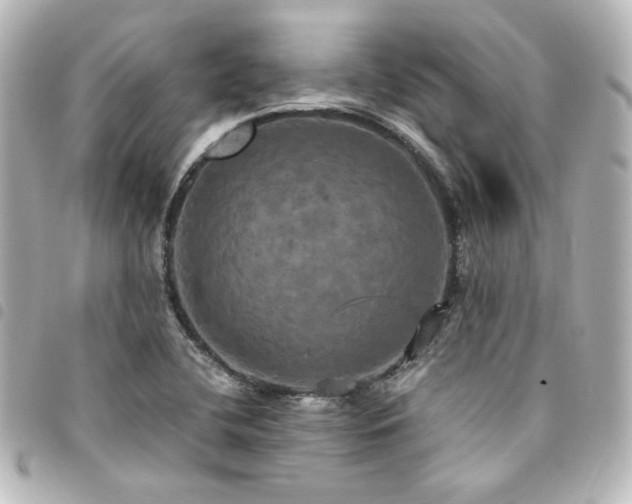 X0000094371412200711021520