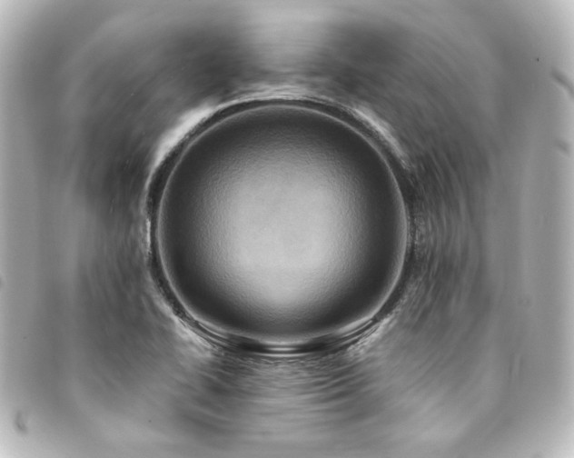 X0000094371414200711021520