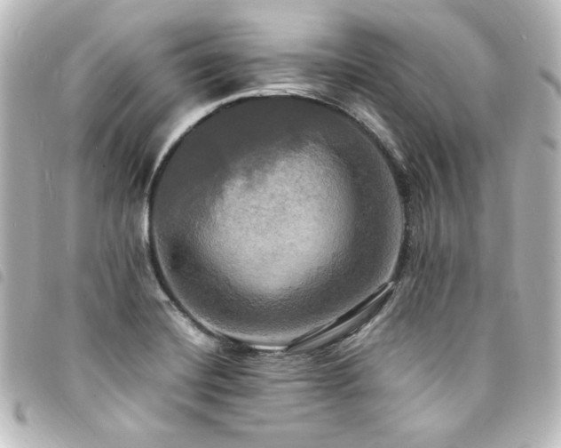 X0000094371420200711021520