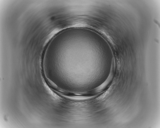 X0000094371422200711021520