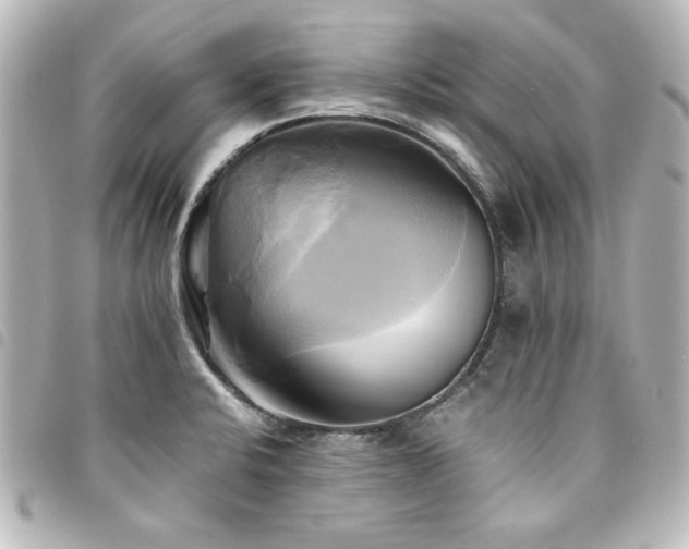 X0000094371424200711021521