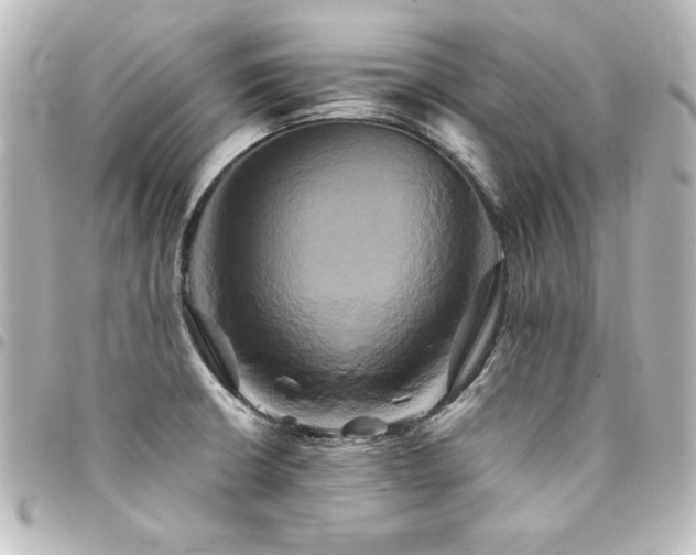 X0000094371426200711021521