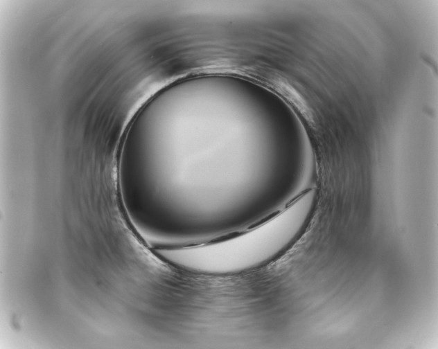 X0000094371428200711021521
