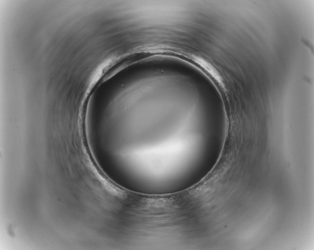 X0000094371429200711021521