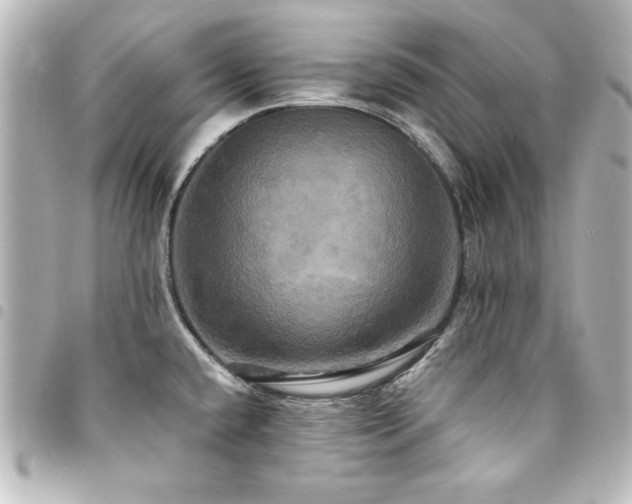 X0000094371432200711021521