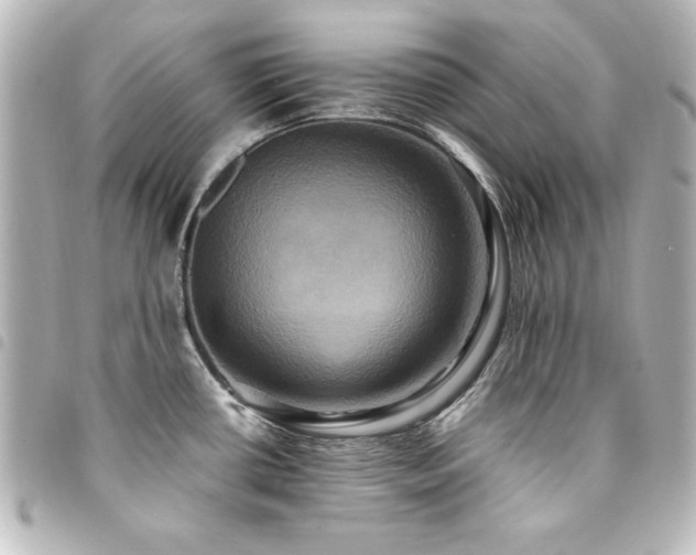 X0000094371434200711021521