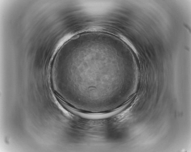 X0000094371437200711021521