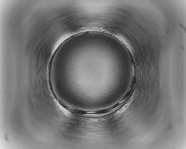 X0000094371438200711021521