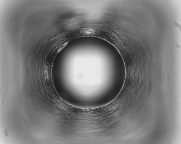 X0000094371442200711021520