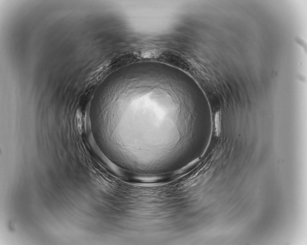 X0000094371443200711021520