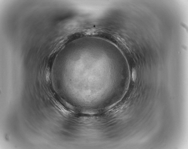X0000094371444200711021520